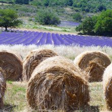 Provence landscapes