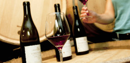 Burgundy wines