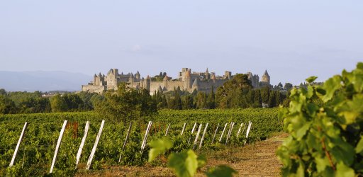 Tours of Carcassonne - fortress