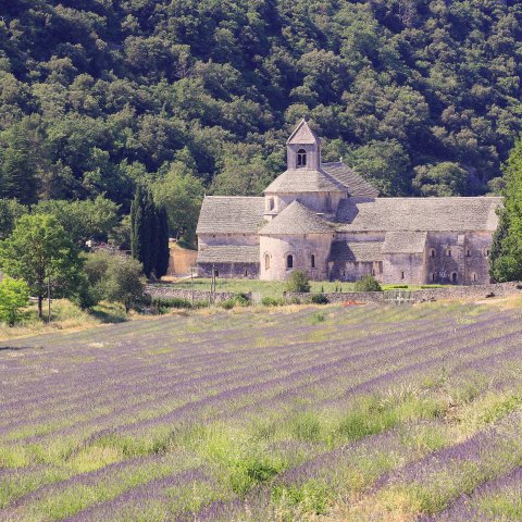 Senanque Abbey in Luberon