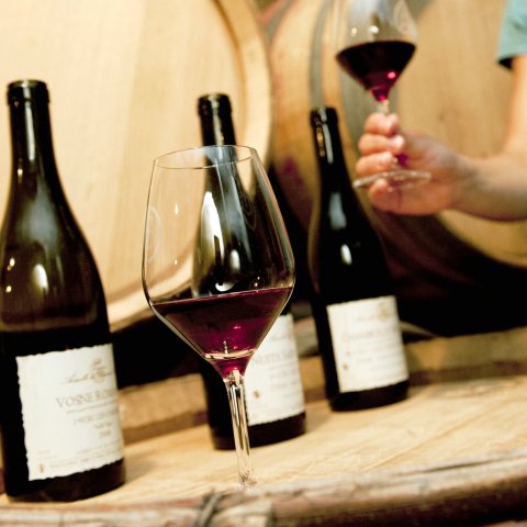 Wine Tasting in Burgundy