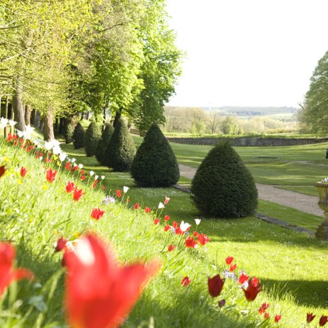Loire Valley gardens