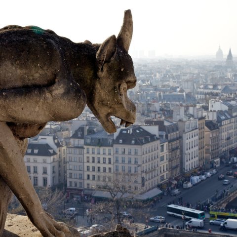 Gargoyle in Notre Dame cathedral
