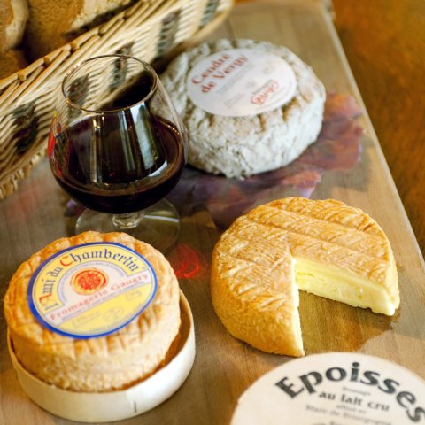 Cheese from Burgundy with famous Epoisses