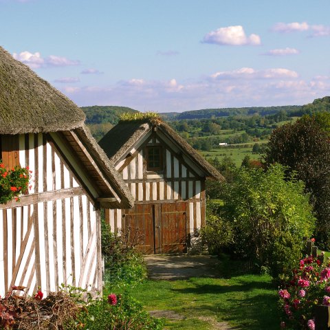 Pays d'Auge in Normandy