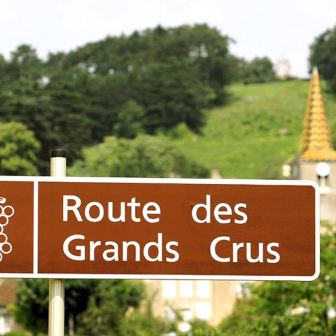 The Wine Route of Burgundy