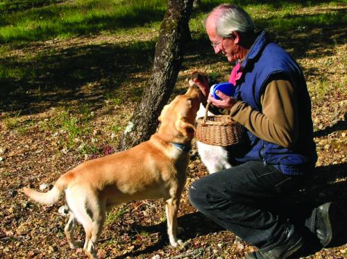 Truffle Hunting in France