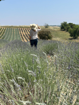 A woman with a wide-brimmed cream hat walks through a sunny lavender field with her back to the camera
