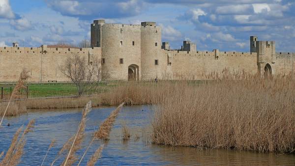 Aigues Mortes camargue