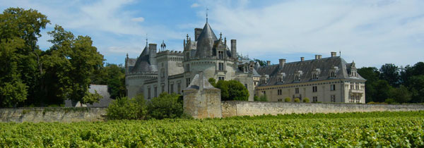 loire valley castle