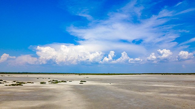 Camargue beach landscape