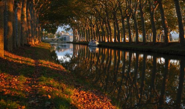 Canal du Midi Carcassonne