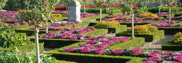 Villandry gardens in the loire