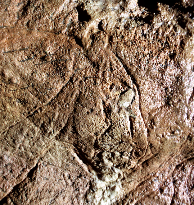 Combarelles caves prehistoric caves in France