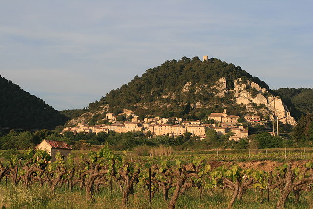 cotes du rhone vineyard