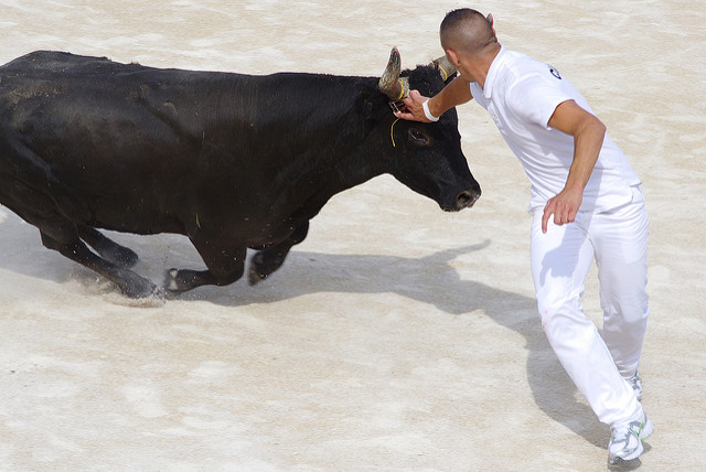 France Just For You - bull racing in the Camargue. Photo credit: jmt-29