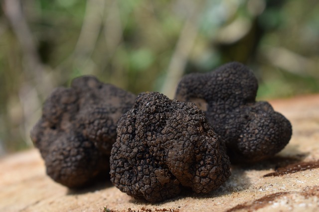 French truffles