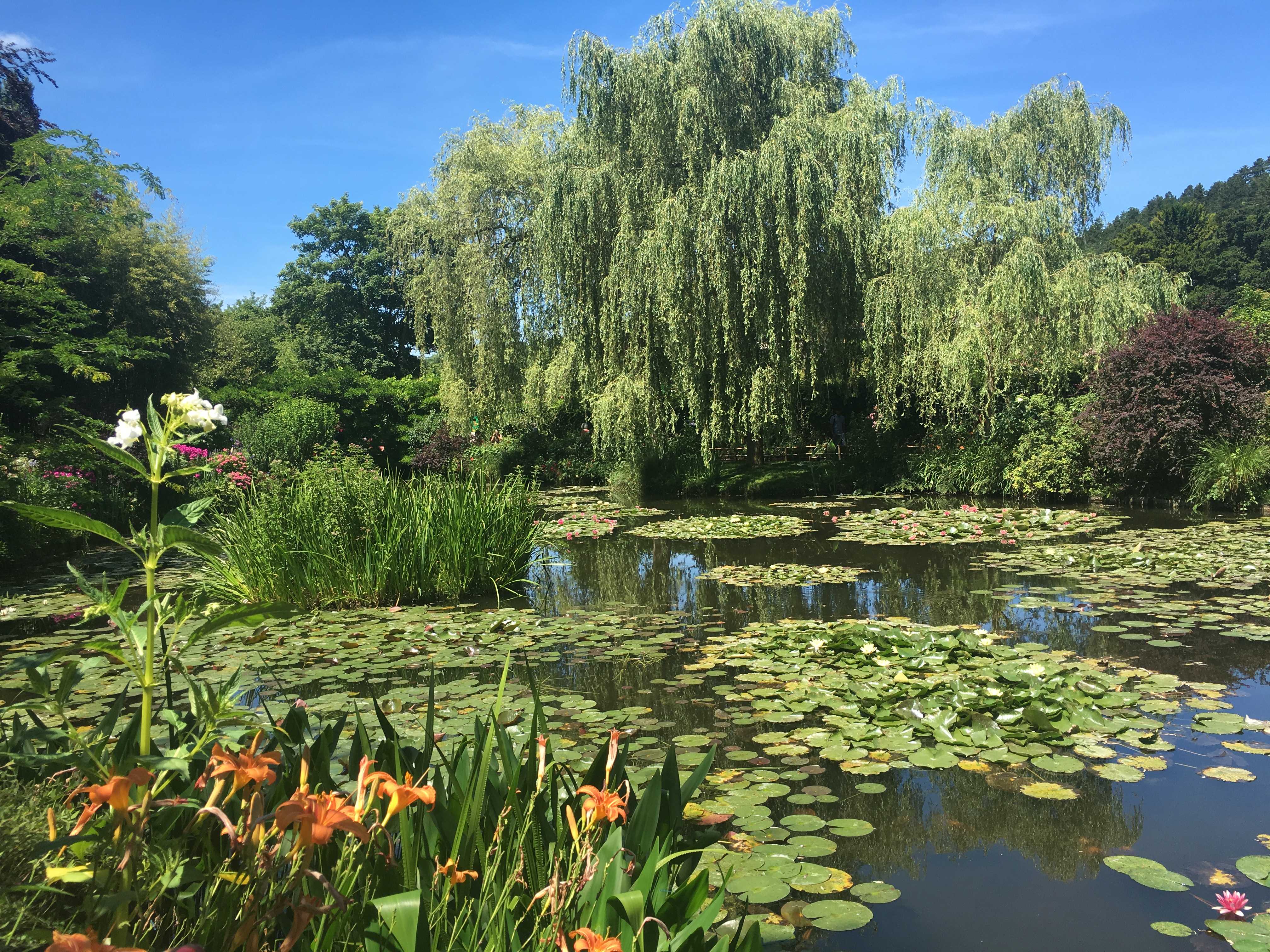 Monet's Garden Giverny