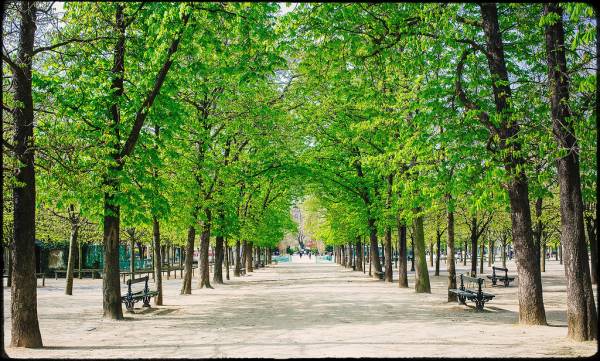 Luxembourg Gardens in Paris