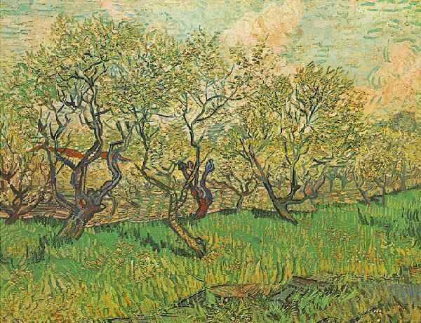 Vincent Van Gogh's time in Provence: his prolific art period. -  TripUSAFrance