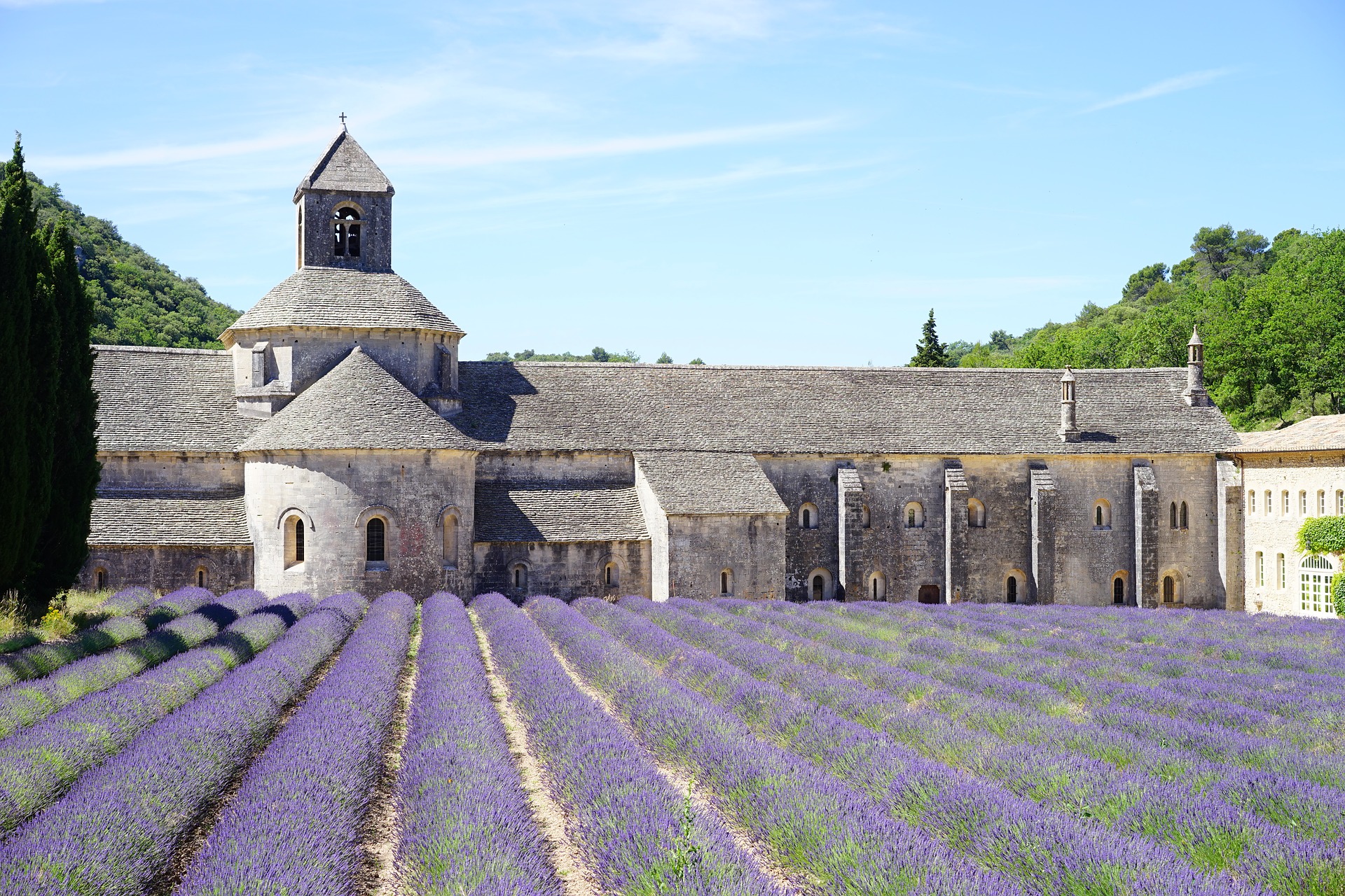 Senanque Abbey behind a lavender field in Provence