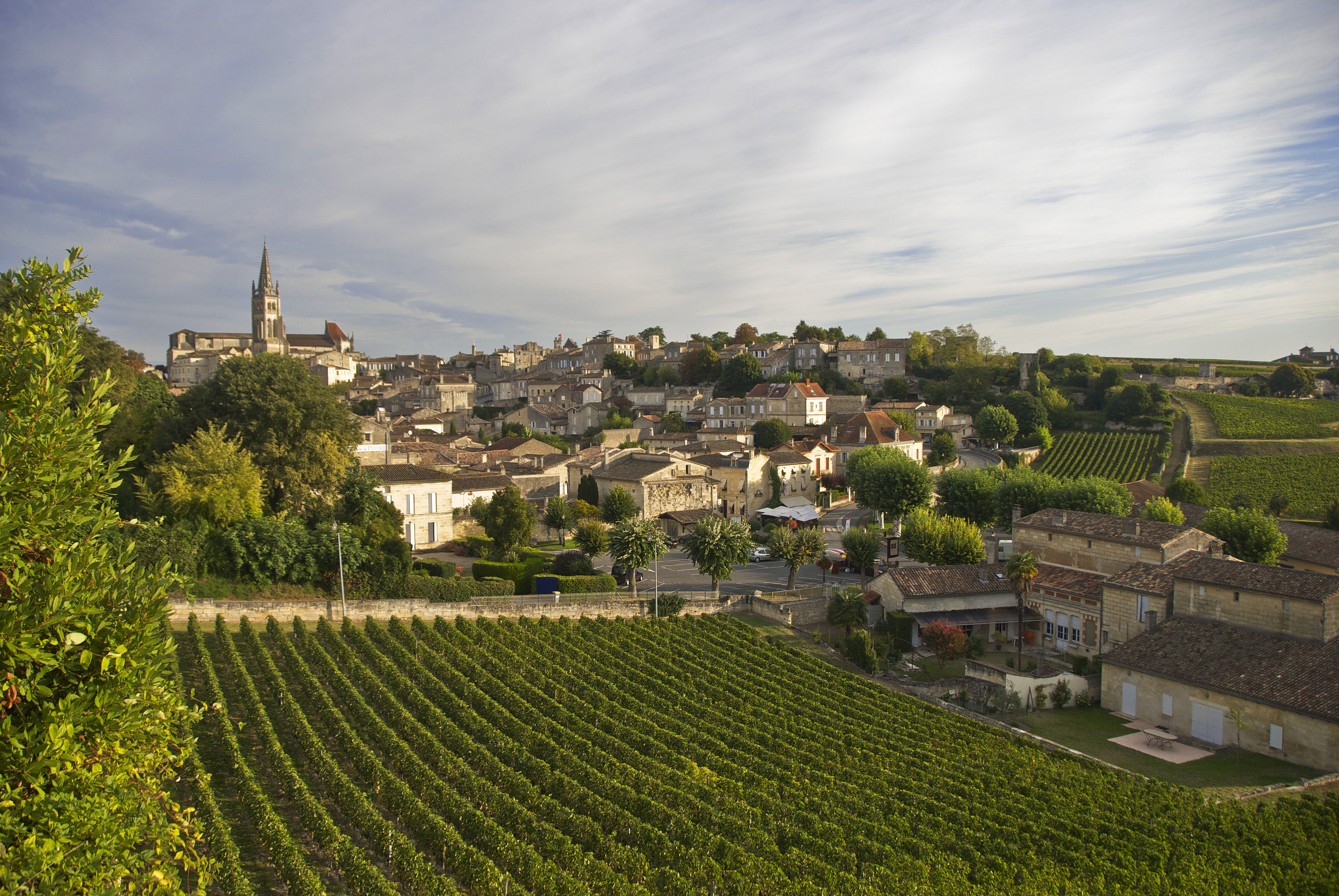 St Emilion vineyards