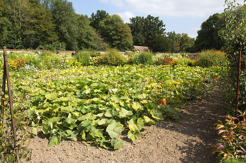 ST JEAN DE BEAUREGARD French gardens