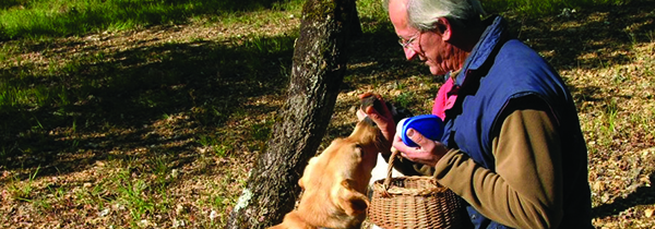 dordogne france gastronomy truffle hunting