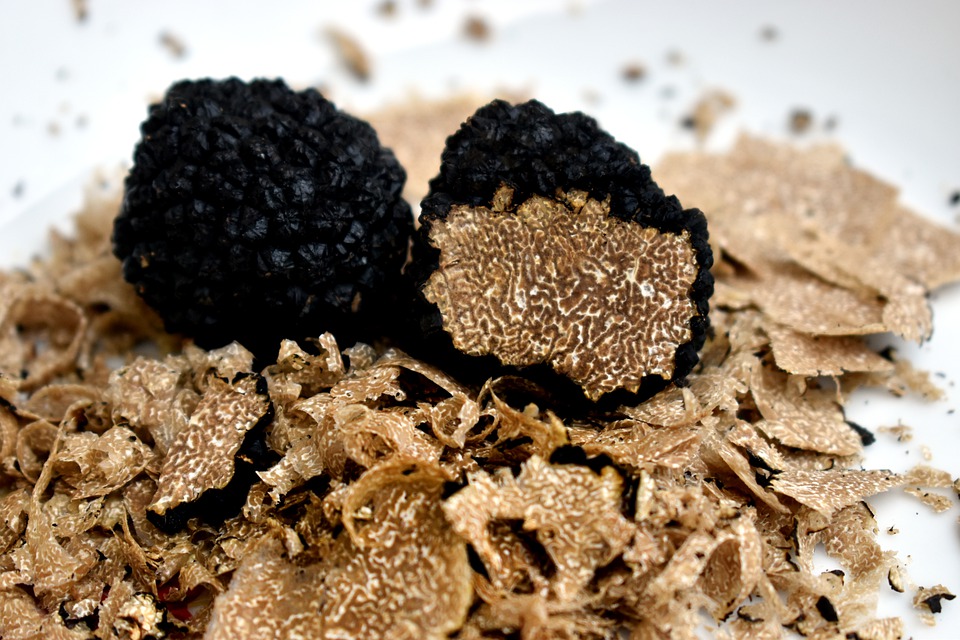 grated truffles in France - Truffle oil - french souvenir