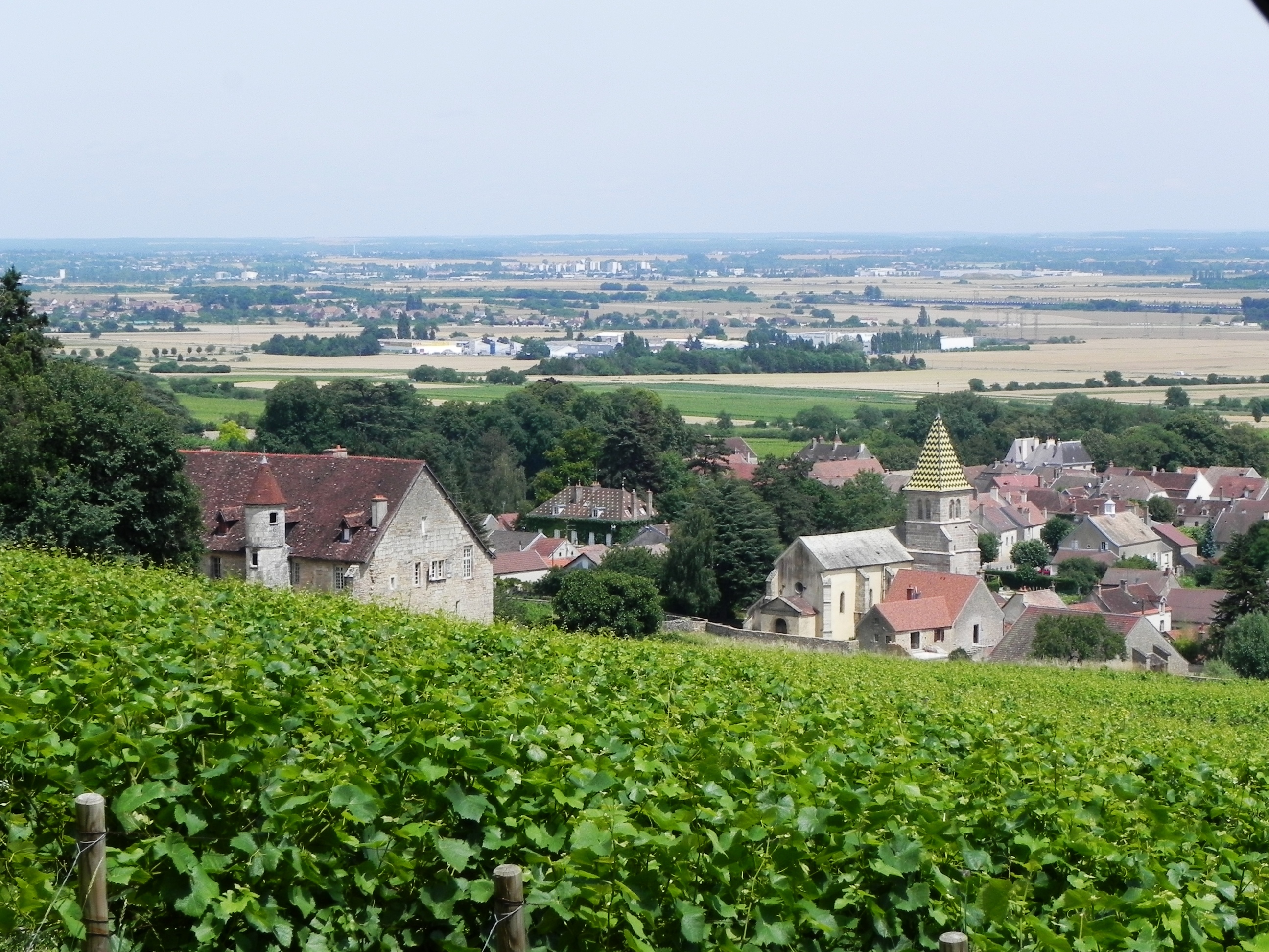 Vineyards Beaune Burgundy