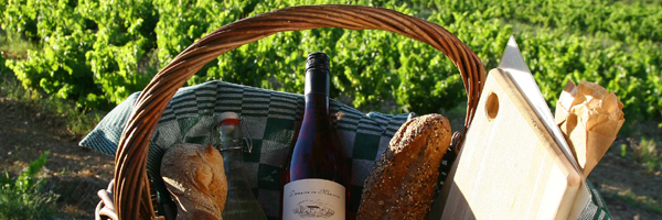 wine tasting in provence, france