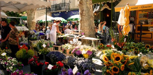 Provence Tours: a treat for all the senses | France Just For You